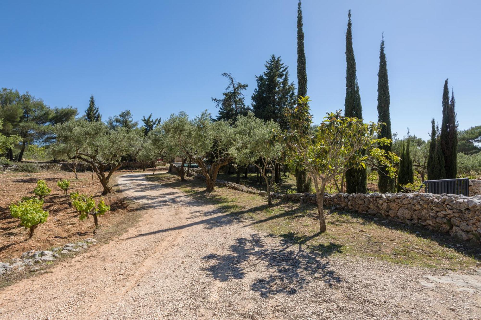 Aresti Mountain Resort Agios Leon Exterior photo
