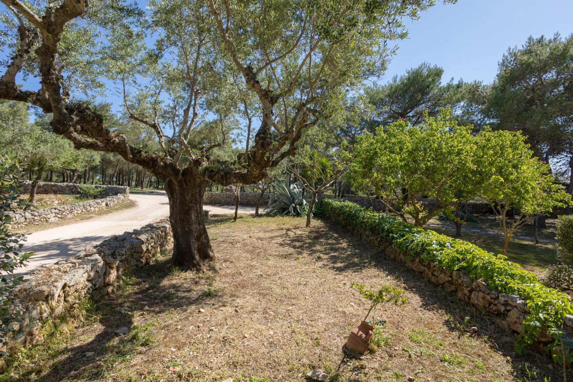 Aresti Mountain Resort Agios Leon Exterior photo
